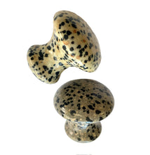 Load image into Gallery viewer, Cecily Braden Dalmation Mushrooms