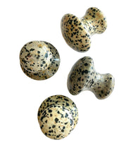Load image into Gallery viewer, Cecily Braden Dalmation Mushrooms
